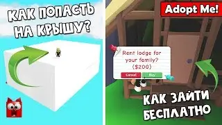 Как попасть на крышу дома + Секрет кемпинга в Адопт Ми роблокс | Adopt Me roblox | Баг + тайна
