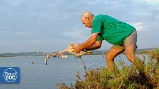 Ebro river Delta. Full Documentary