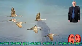 А годі летять