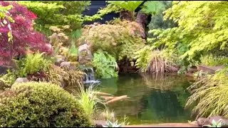 Jardin Zen