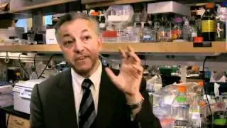 Bone Marrow Transplantation: The Procedure