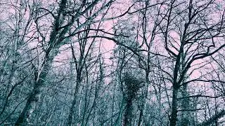 Bonjour Tristesse  - Alienation