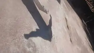 flying a kite