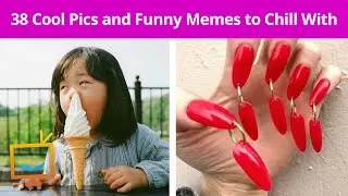 The BEST Cool Pics and Funny Memes to Chill With