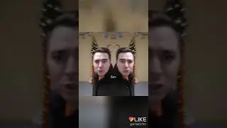 Дичь, бичь!!!