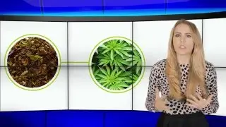The Dangers of Synthetic Marijuana