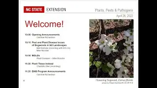PPP April 2022 | Current Plant and Pest Disease Issues in NC: Focus on Dogwoods