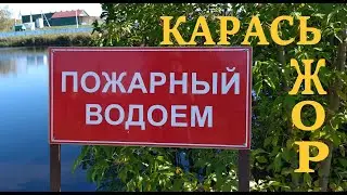 КАРАСЬ ЖОР сентябрь 23г