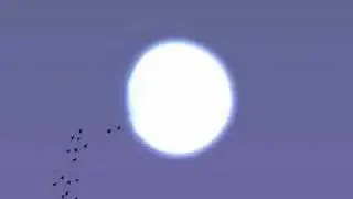 Rumble Fighter - Teaser - OGPlanet.com