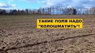 Шмурдкоптрест. Выпуск N39. Колошматим песчанку
