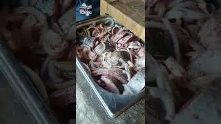 шашлык из рыбы