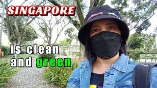SINGAPORE THE GARDEN CITY IN NATURE LOOK | STREET WALKING TOUR AROUND THIS BEAUTIFUL CLEAN CITY