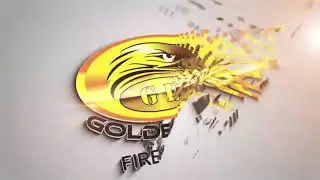 Show Kembang Api Golden Eye Gemilang Silang Monas