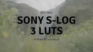 SONY S-LOG 3 Conversion LUTS