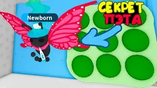 Хочешь узнать Секрет Бабочки?! Новое обновление в игре адопт ми новые питомцы. butterfly