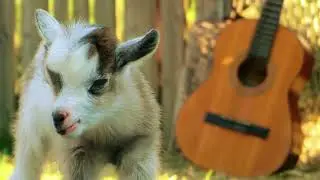 Klavier und Gitarre: 