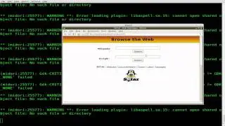 GUI in a Chrooting Environment - Linux