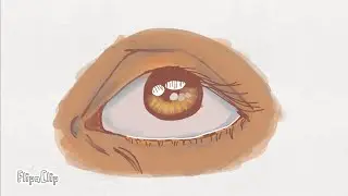 3D Eye blink animation with flipaclip