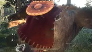 Dragon's Dogma 2 my party x ogre