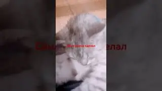 Когда сёму спрашивают когда он сделал уроки