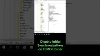 Disable Initial Synchronizations on FSMO Holder 