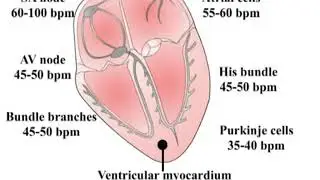 4.9 Nhịp thoát - Vietsub