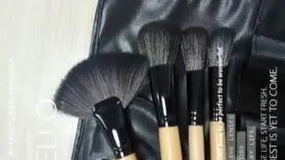 24 Piece Jet Black Make Up Brush Set