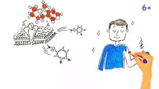 Что происходит с ТВОИМ ТЕЛОМ при курении — Научпок