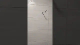 Санузел готовится к приему гостей