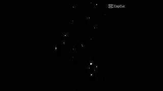 ccp Arya saloka ( Aldebaran ) ikatan cinta