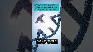 Unraveling the role of the MAP3K1 gene mutation in cancer development.
