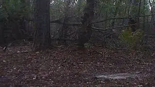 yote3