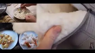 Влог ГОТОВЛЮ ВКУСНЯШКИ. ДУТИКИ с ОЗОН