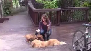 Our Second Nominee Takes the #BiscuitChallenge for Oregon Humane!