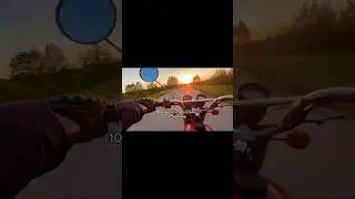 самое главное его не просрать🙃