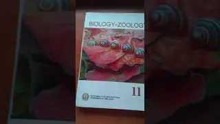 Today mrng session 11:00 am to 1: 30 pm biology neet aspirant