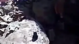 Мистер пук