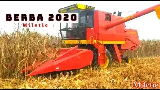 ZMAJ 142 RM | BERBA KUKURUZA | 2020 Majur, Jagodina