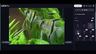 Como Crear Imágenes Con Movimientos 3D