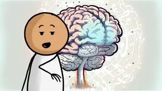 Brainy Buddies: An Exciting Journey into the World of Brains! 🧠🤩📚