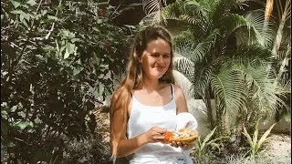 A Week in Paradise