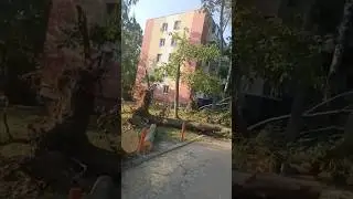 Город после урагана 😨😬 Ужас 😱