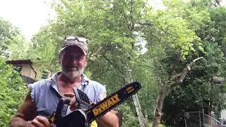 Dewalt 20V Chainsaw First Time Using