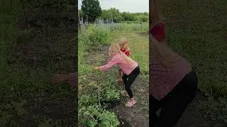 Для семейного архива