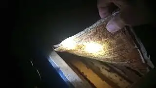 Состояние  пчелосемей  , месяц  зимовки  в  омшаннике ( зимовнике )