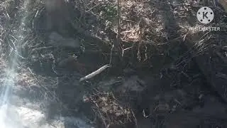9.04.23 пробный выезд на металлокоп.
