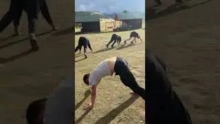 ТАРАКАНЬИ БЕГА