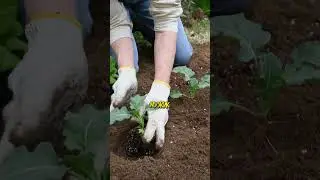 Как простой садовник стал миллиардером