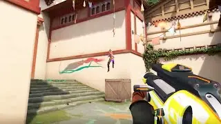 The Pain of a Raze Main