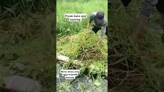 mudah mudahan sesuai harapan #fishing #kail #mancing #fhising #angler